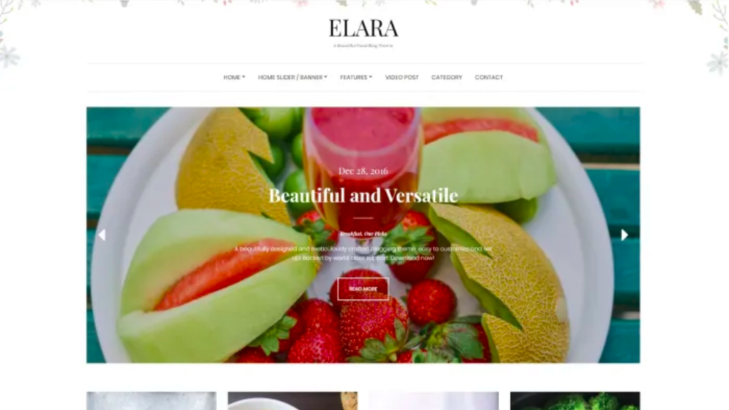 Elara wordpress theme