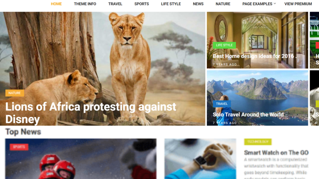 Free Feminine wordpress theme Numinous theme